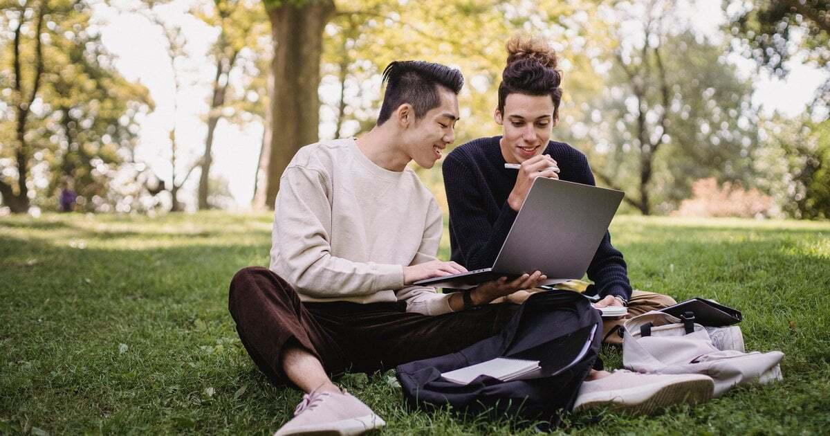 Two students working on a laptop together on the grass in a park